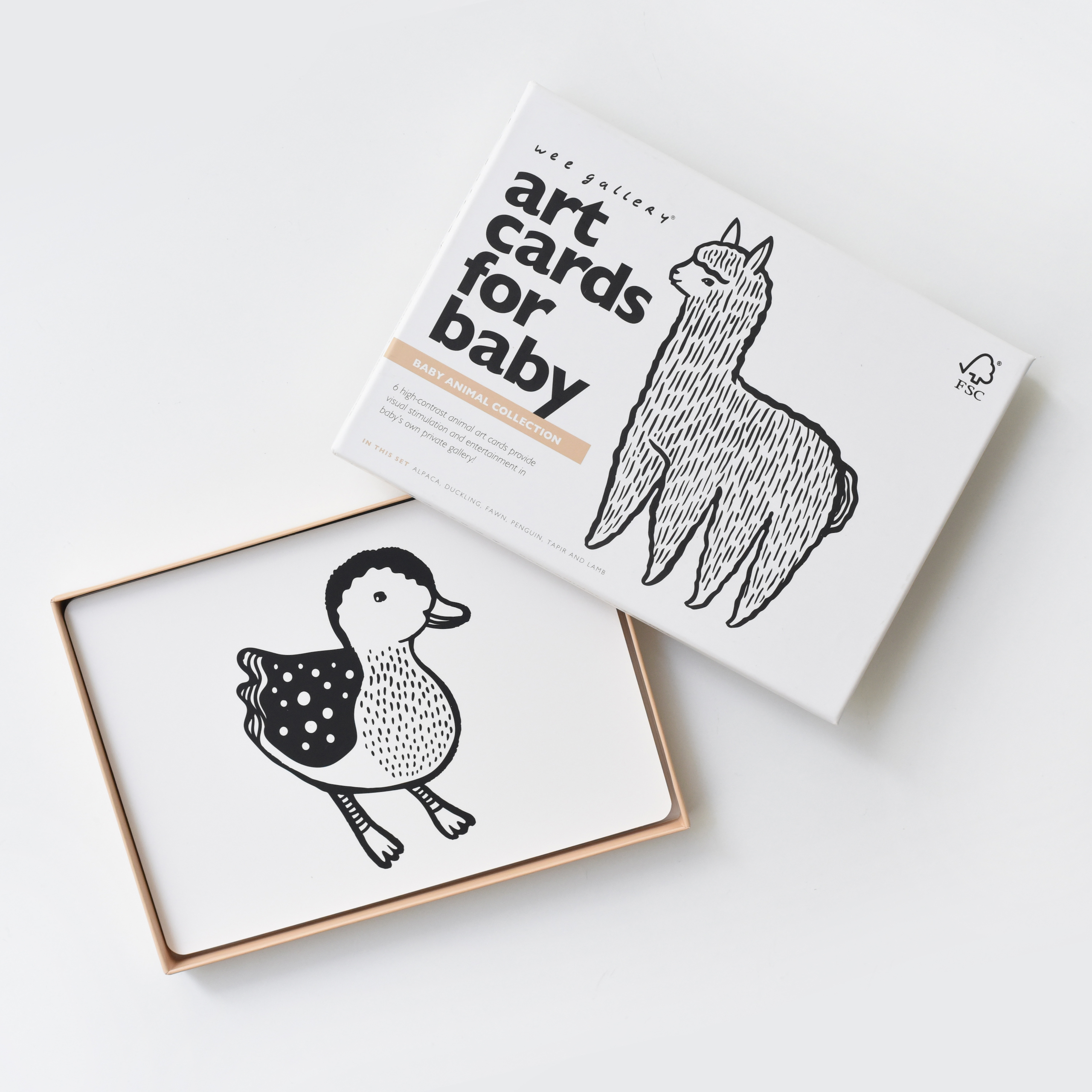 Art Cards - Baby animals