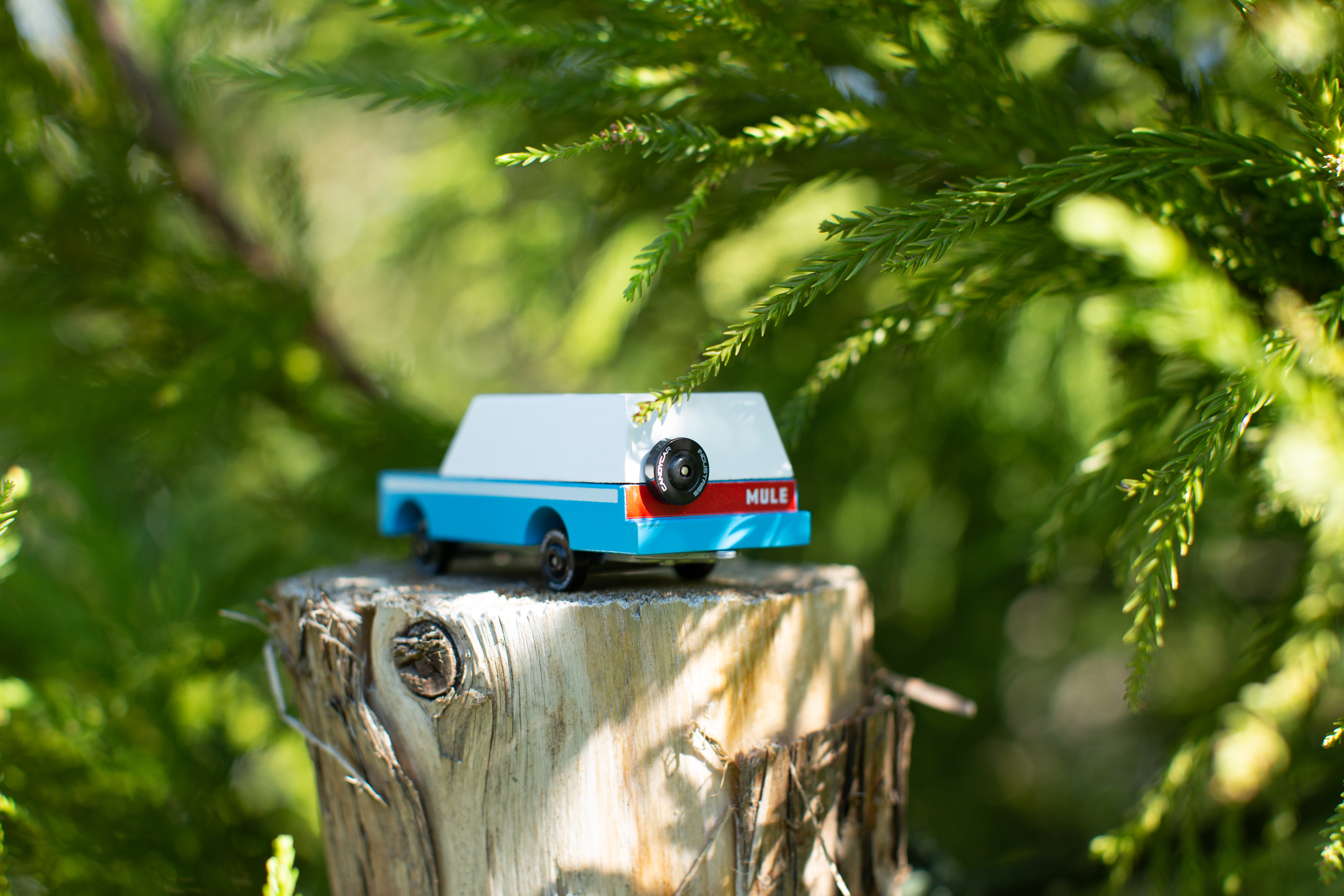 Candycar - Mississipi Mule Candycar - Mississipi Mule