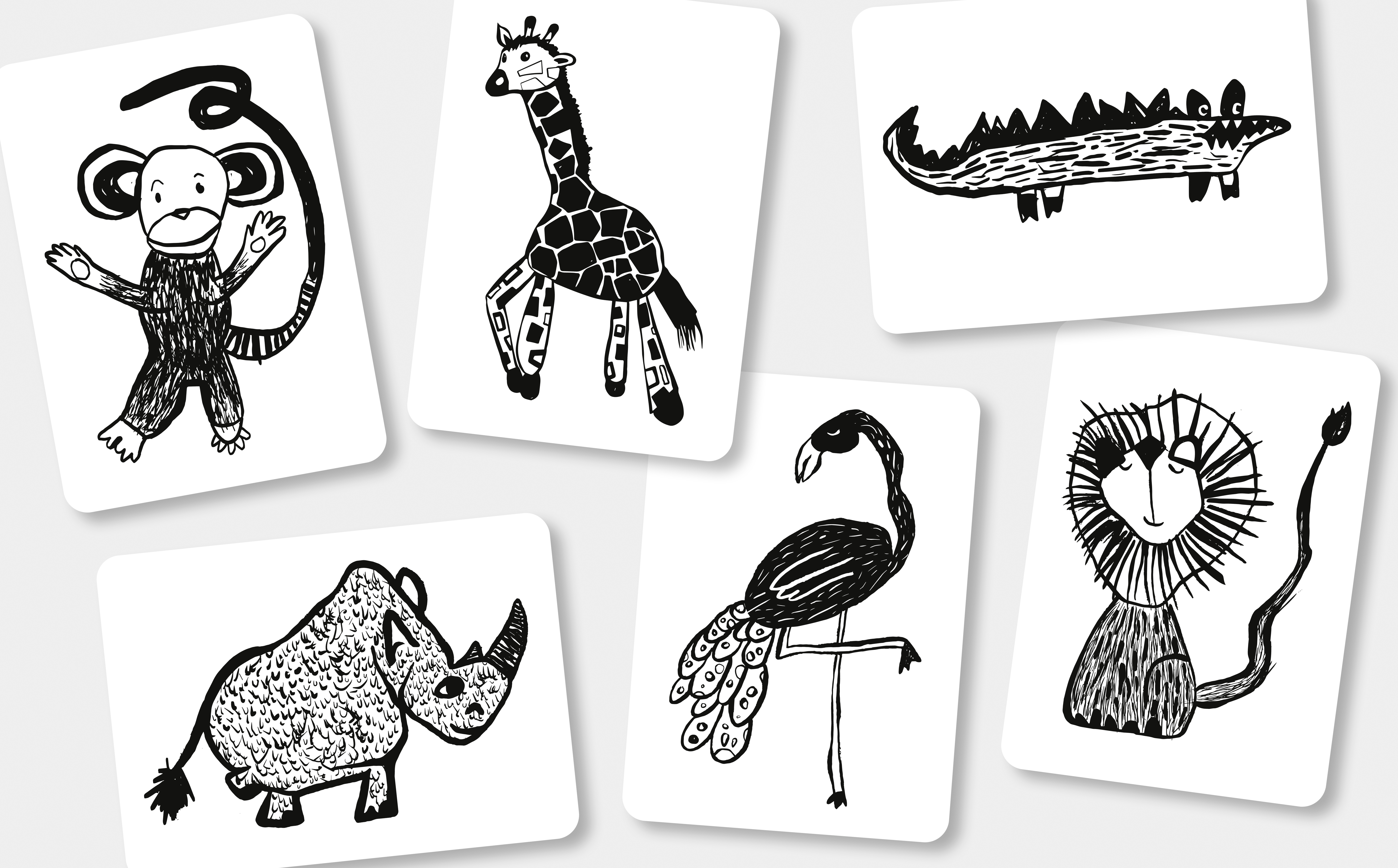 Flash cards - Safari
