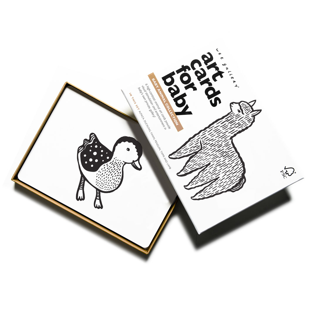 Art Cards - Baby animals