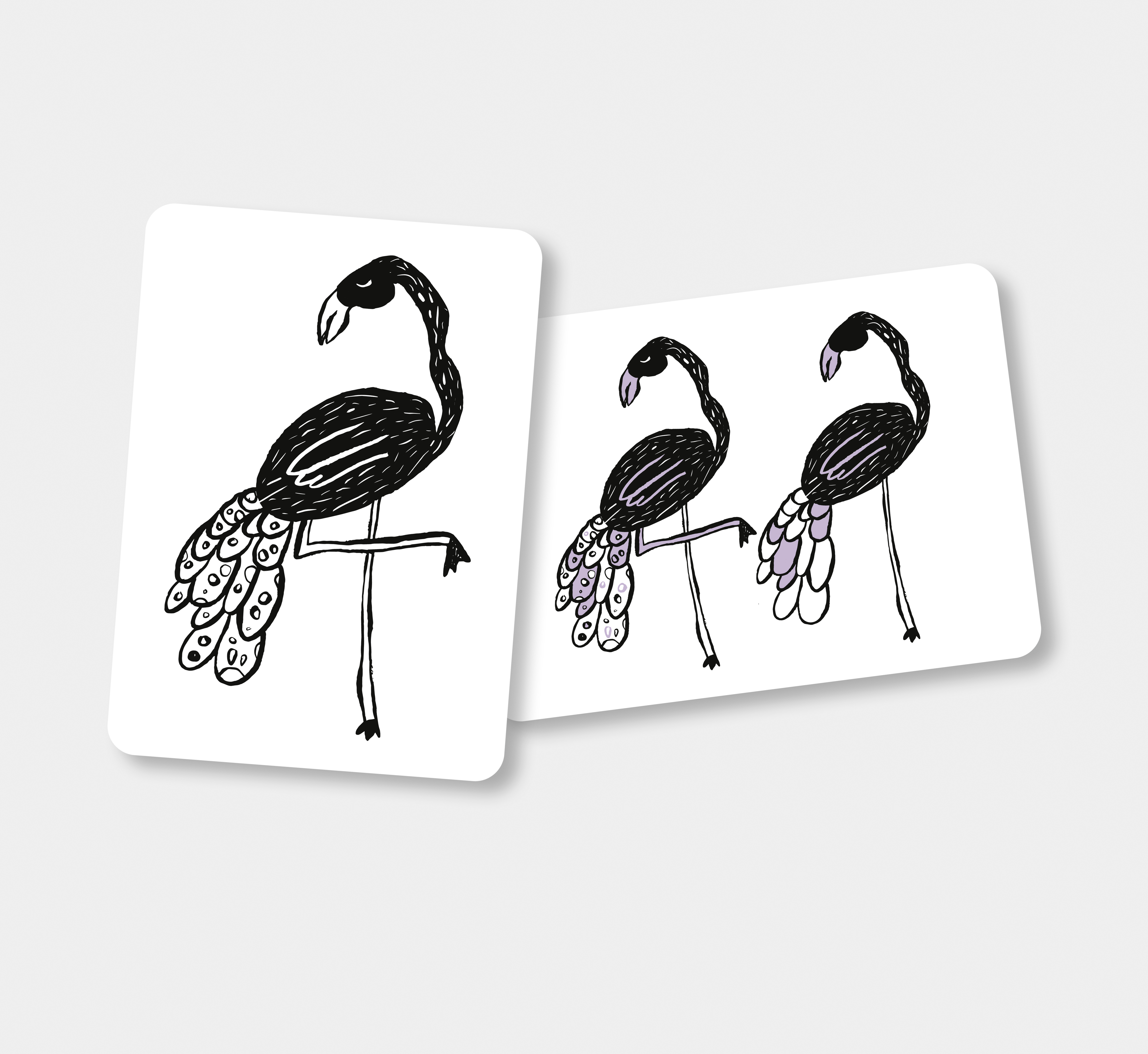 Flash cards - Safari